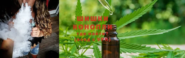 ешки Алзамай
