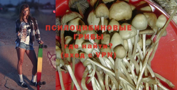 PSILOCYBIN Алексин