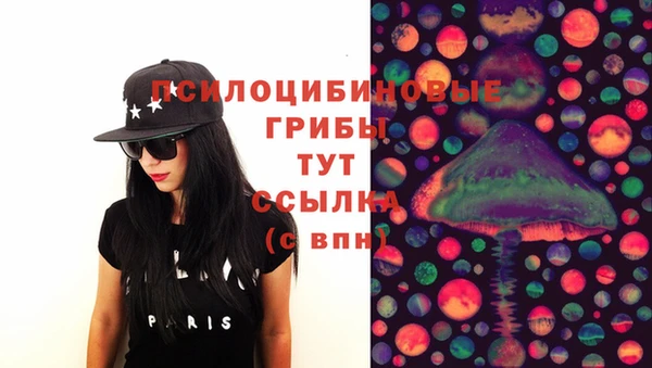 PSILOCYBIN Алексин