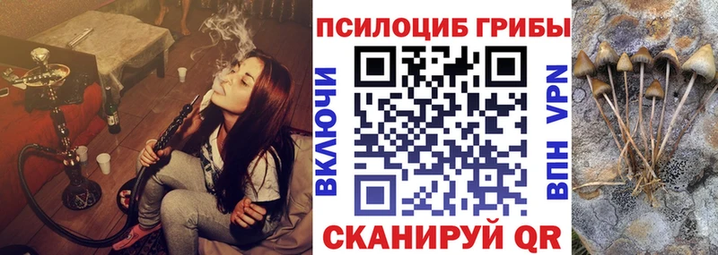 Галлюциногенные грибы мицелий  Хотьково 